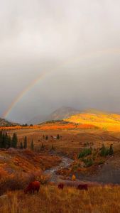 Instagram post by @sarahmleek