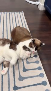 Instagram post by @vegasbubbles