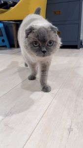 Instagram post by @vegasbubbles