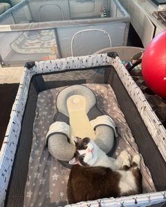 Instagram post by @vegasbubbles