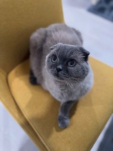 Instagram post by @vegasbubbles