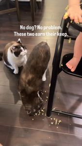 Instagram post by @vegasbubbles