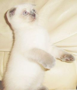 Instagram post by @vegasbubbles