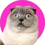 @vegasbubbles Instagram Profile