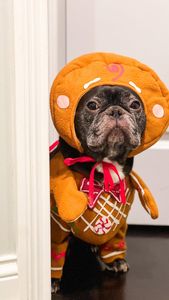 Instagram post by @enzointhebigcity