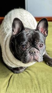 Instagram post by @enzointhebigcity