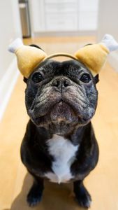 Instagram post by @enzointhebigcity