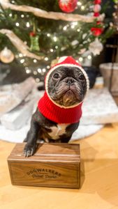 Instagram post by @enzointhebigcity