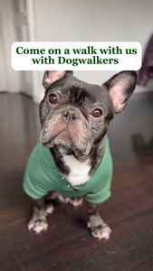 Instagram post by @enzointhebigcity