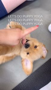 Instagram post by @enzointhebigcity