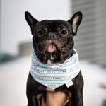 @enzointhebigcity Instagram Profile