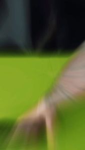 Instagram post by @iamdjfrankwhite