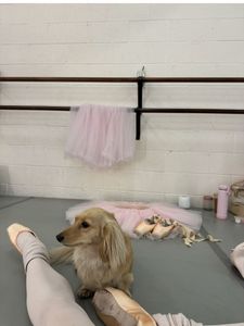 Instagram post by @lifeof.lori