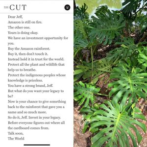 Instagram post by @leilajanah