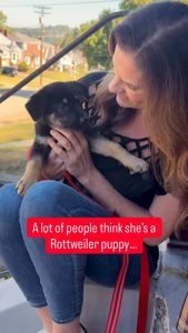 Instagram post by @chef.life.hacks