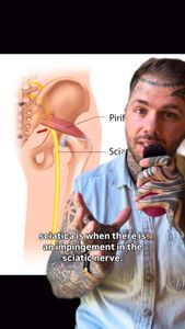 Instagram post by @alex_fascia