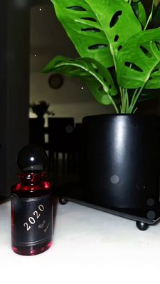 Instagram post by @bashoud0