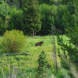 Instagram post by @audreykriss