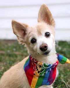 Instagram post by @audreykriss