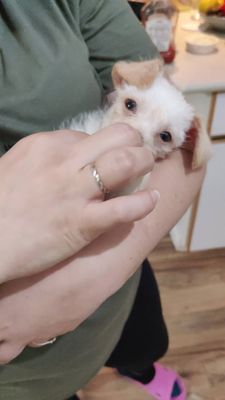 Instagram post by @lifeofbenandi