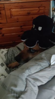 Instagram post by @lifeofbenandi