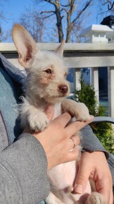 Instagram post by @lifeofbenandi