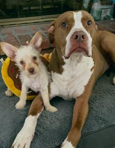 Instagram post by @lifeofbenandi