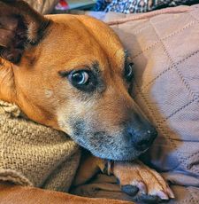 Instagram post by @lifeofbenandi