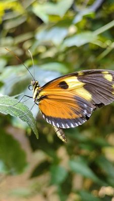 Instagram post by @lifeofbenandi