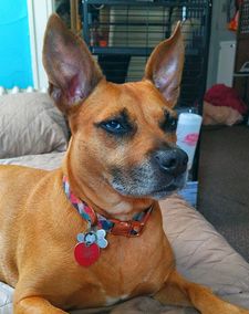 Instagram post by @lifeofbenandi