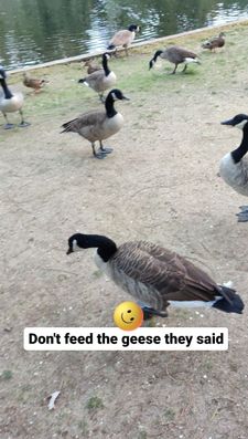 Instagram post by @lifeofbenandi