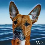 @lifeofbenandi Instagram Profile