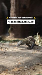 Instagram post by @explorestlparks