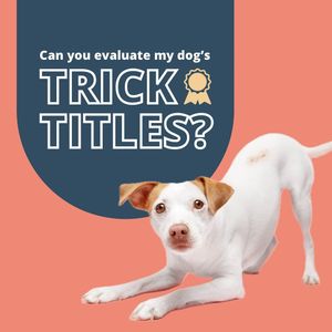 Instagram post by @lunathetrickdog