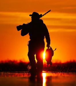 Instagram post by @aaronrdavis