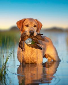 Instagram post by @aaronrdavis