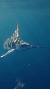 Instagram post by @flyfish_adventures