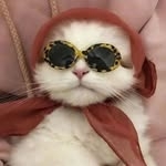 @morganadams Instagram Profile