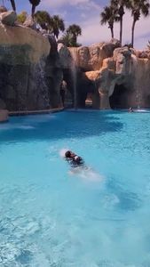 Instagram post by @familyfunorlando