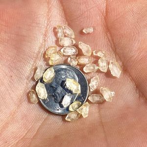 Instagram post by @paleocris