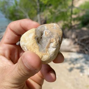 Instagram post by @paleocris