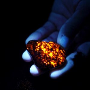 Instagram post by @paleocris