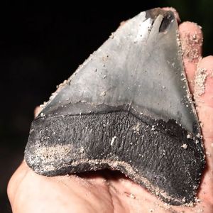 Instagram post by @paleocris