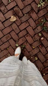 Instagram post by @thecattspjs