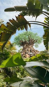 Instagram post by @withnicoleee