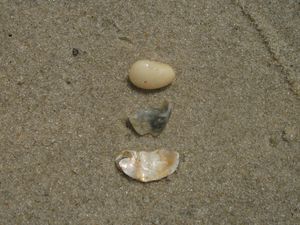 Instagram post by @mariahbtw