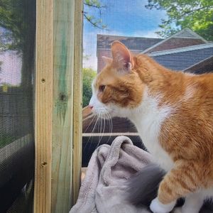 Instagram post by @johnembrytattoos