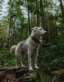 Instagram post by @roadtrip.ranger