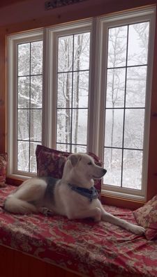 Instagram post by @roadtrip.ranger