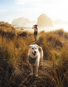 Instagram post by @roadtrip.ranger